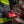 The Billy GOAT Wedge 7075 -Firefighter Entry Wedge